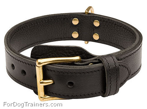 2 Ply Leather Siberian Husky Collar with Brass Hardware