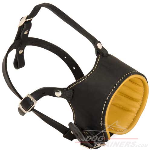 Padded Anti-Barking Leather Siberian Husky Muzzle