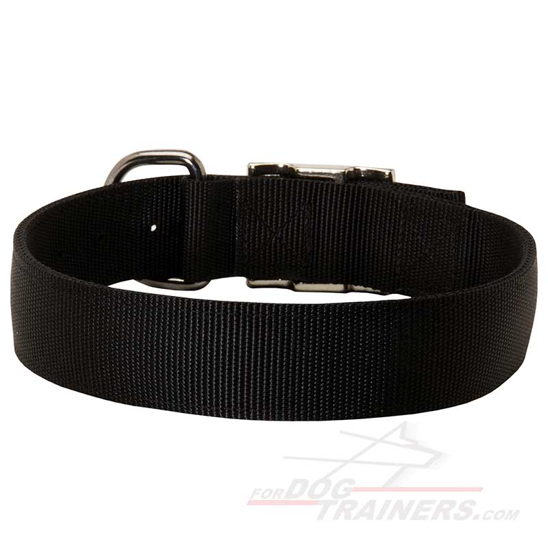2 Ply Nylon Siberian Husky Dog Collar
