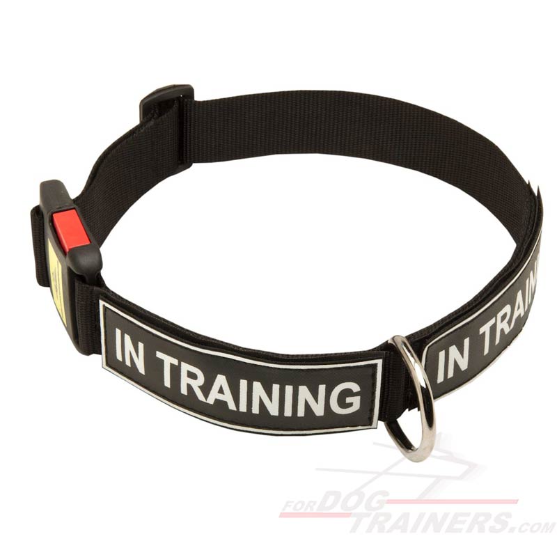 All Weather Nylon Siberian Husky Collar with Patches and Quick Release Buckle
