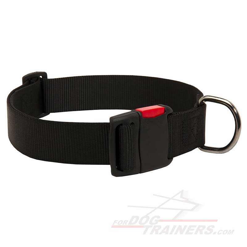 All Weather Practicable Nylon Siberian Husky Collar with quick release buckle