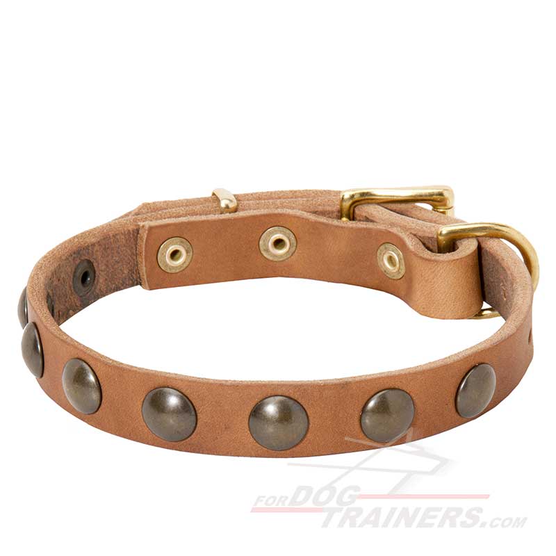 Daily Walking Leather Siberian Husky Collar with Brass Studs
