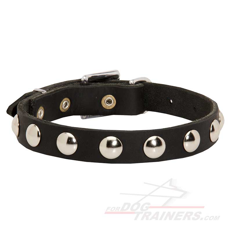 Elegant Leather Husky Collar with Nickel Plated Half-Balls