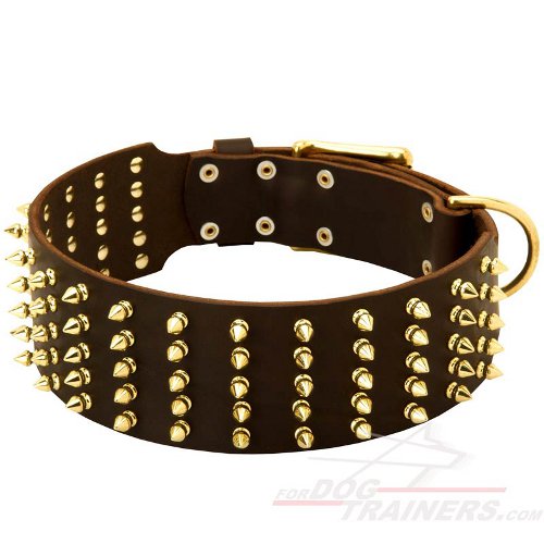 Wide Spiked Leather Siberian Husky Collar