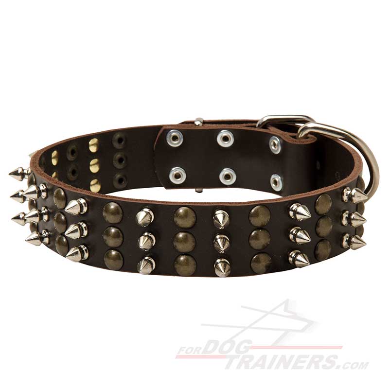 Leather Siberian Husky Collar with Studs and Spikes