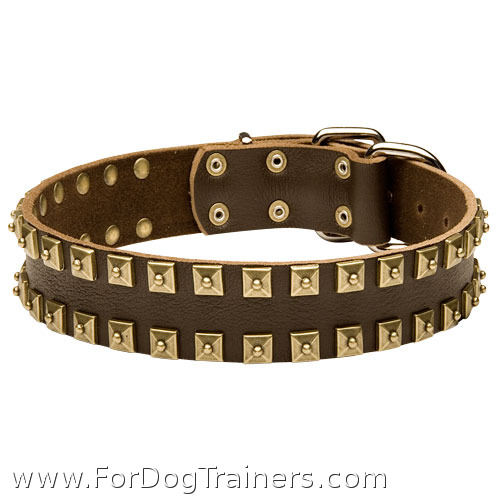 Fashionable Leather Husky Collar with Square Brass Studs