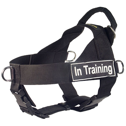 All Weather Nylon Siberian Husky Harness