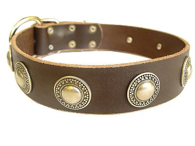 Chic Studded Leather Siberian Husky Collar
