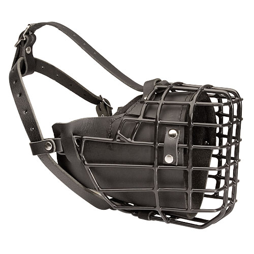Wire Cage Husky Muzzle for Winter Walking