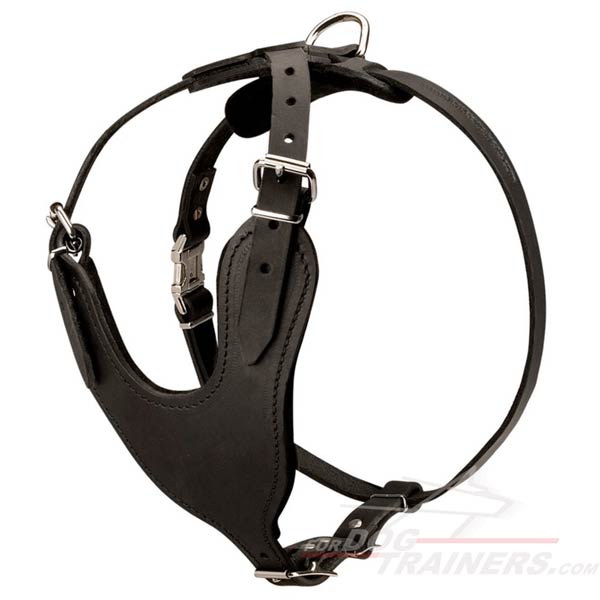 Elegant Leather Siberian Husky Harness