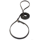 Leather leash choke collar combo for Siberian Husky