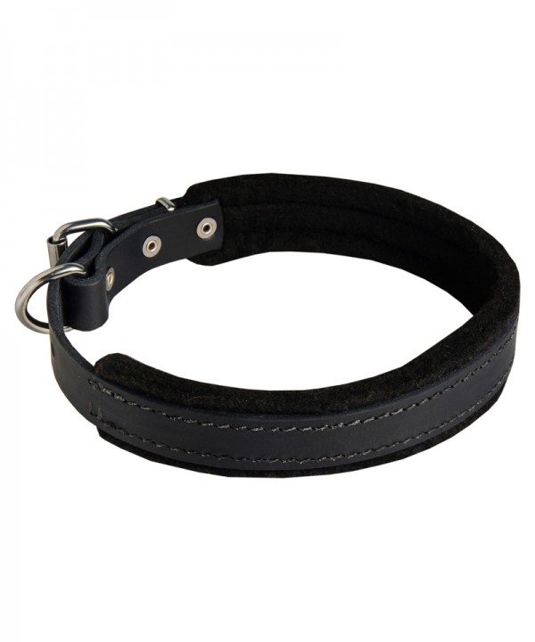 Leather Siberian Husky Collar with Soft Felt Padding