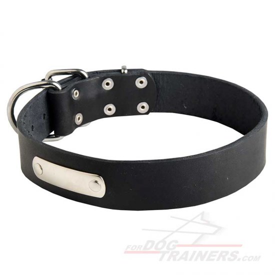 Leather Husky Collar with id Tag