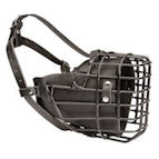 Wire Cage Husky Muzzle for Winter Walking