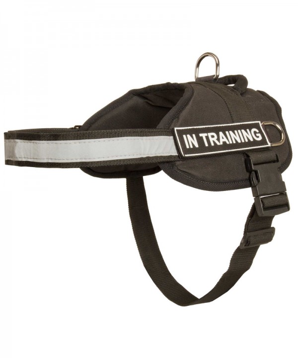 Nylon Husky Harness with Patches and Reflective Trim