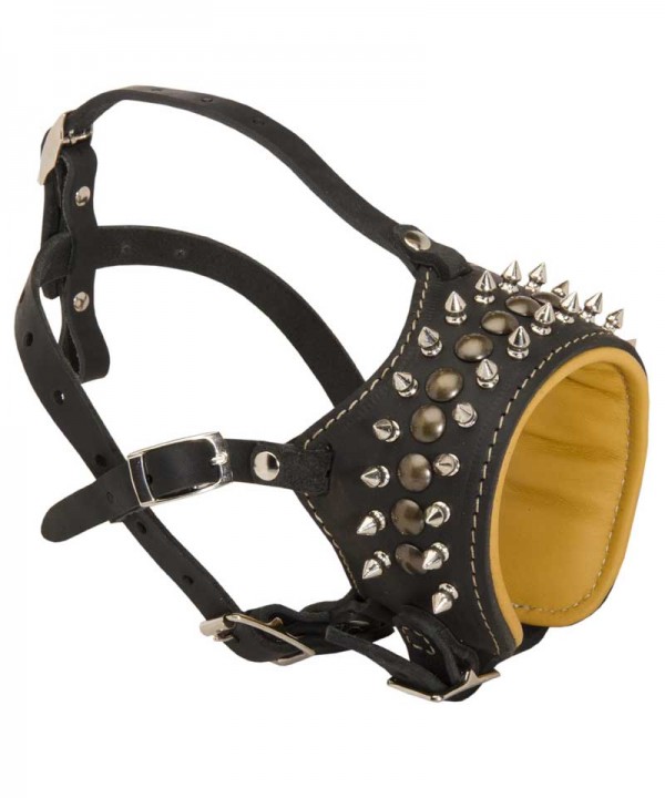 Soft Nappa Padded Leather Husky Muzzle with Spikes and Studs