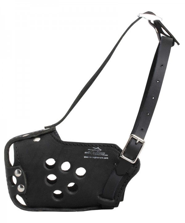 Strong Leather Husky Muzzle for Military Service