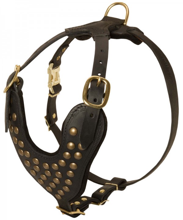 Studded Leather Siberian Husky Harness