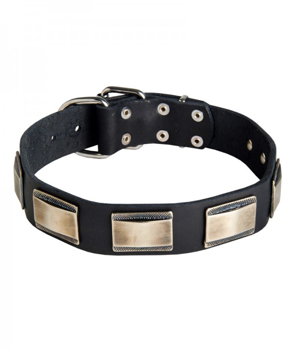 Unique Leather Husky Collar with Large Plates